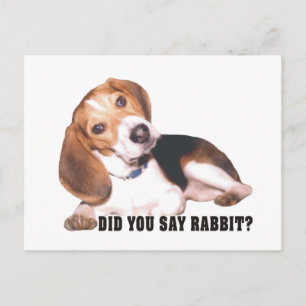 Beagle Avez-Vous Dit Rabbit ? Carte postale