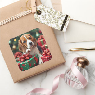 Beagle beim Einwickeln von Weihnachtsgeschenken Ma Quadratischer Aufkleber