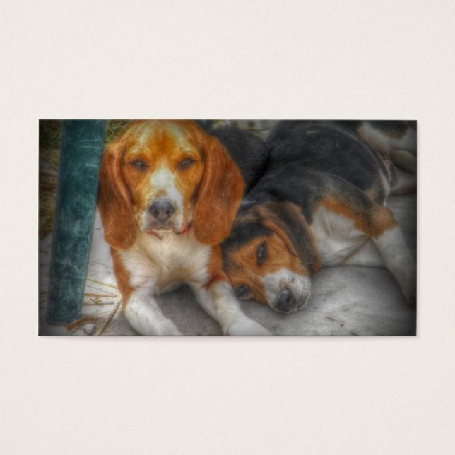 Beagle Brothers (Vorderseite)