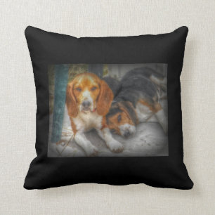 Beagle Brüder Kissen