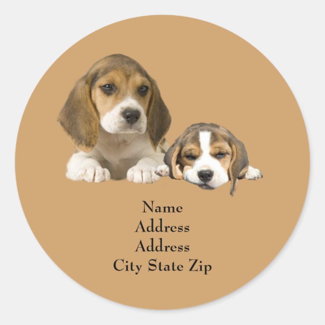 Beagle-Buddies-Adressetikett Runder Aufkleber (Vorderseite)