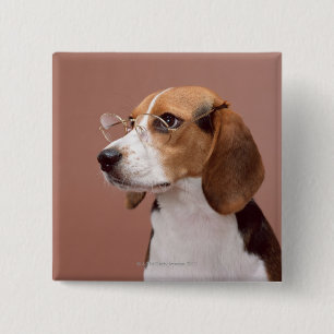 Beagle Button