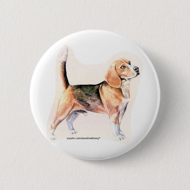 Beagle Button (Vorderseite)