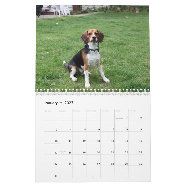 Beagle Calander Kalender (Jan 2027)