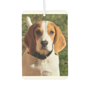 Beagle Car Air Freshener Autolufterfrischer