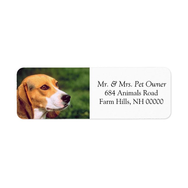 Beagle Chien Visage Adresse de retour Stickers d'e (Devant)