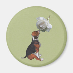 Beagle Chiot blanc Rose aimant animal