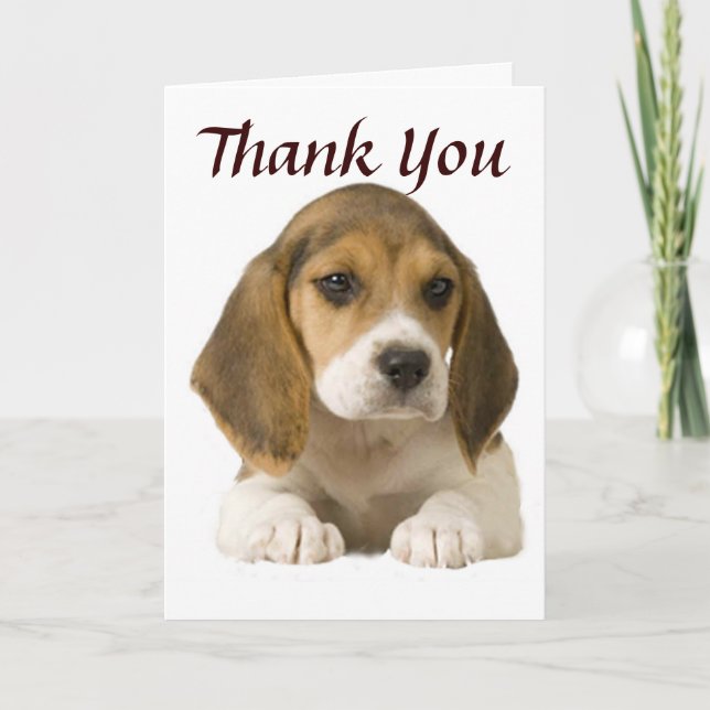 Beagle danken Ihnen zu kardieren Dankeskarte (Vorderseite)