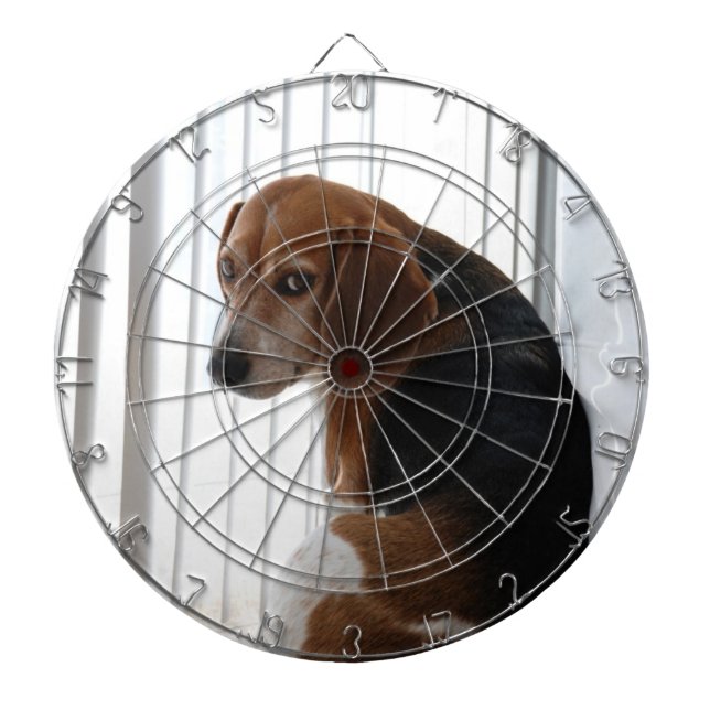 Beagle Dartscheibe (vorne)