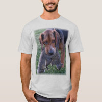 Beagle, der Eichhörnchen zurückholt