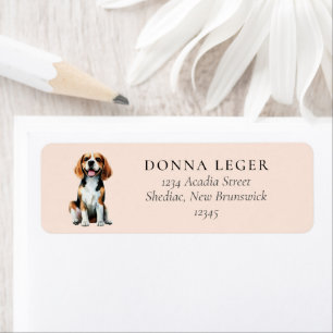 Beagle Dog-Adresse