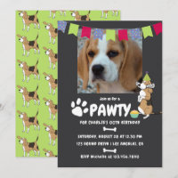 Beagle Dog Birthday Foto Einladung