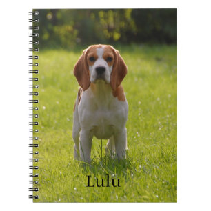 Beagle Dog Foto und Name Personalisiert Notizblock