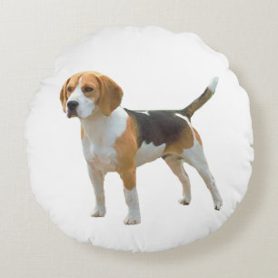 Beagle Dog Rundes Kissen