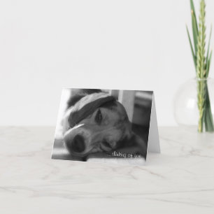 Beagle Dog Snoopy nah-up Foto Karte