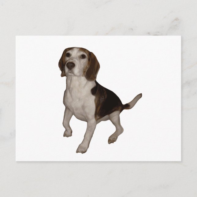 Beagle, dritter postkarte (Vorderseite)