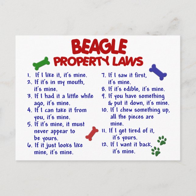 BEAGLE-Eigenschaftengesetze 2 Postkarte (Vorderseite)