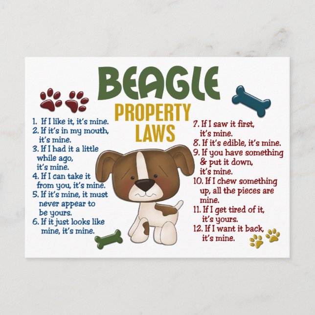 Beagle-Eigenschaftengesetze 4 Postkarte (Vorderseite)