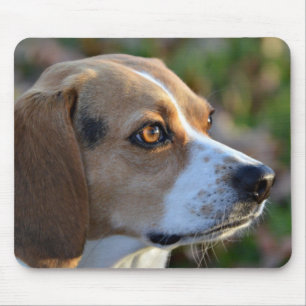 Beagle-Entschlossenheit Mousepad