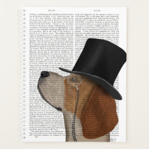 Beagle, Festhund und Hut Planer