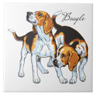 Beagle Fliese