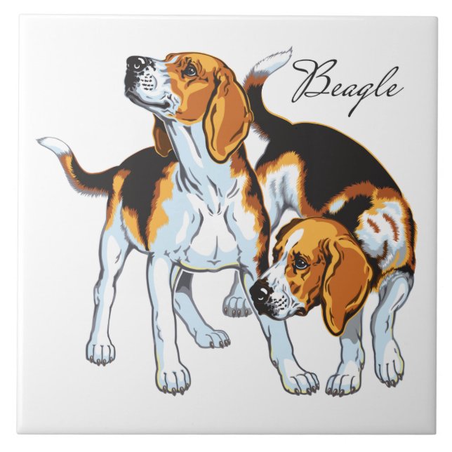 Beagle Fliese (Vorderseite)