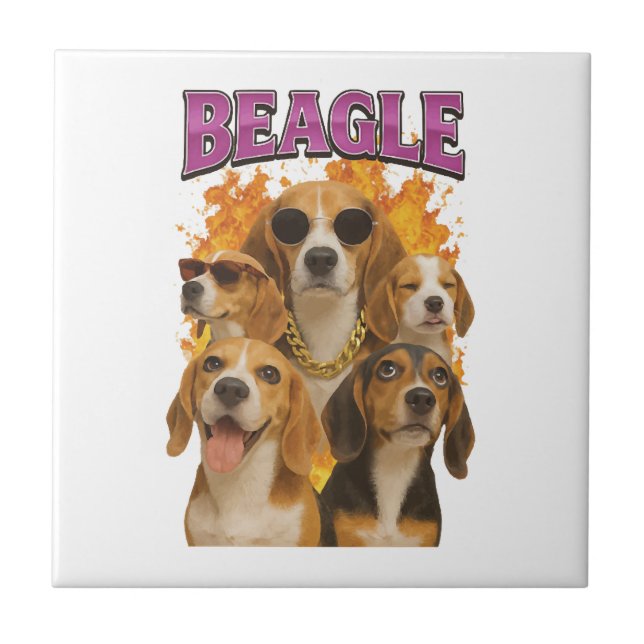 Beagle          fliese (Vorderseite)