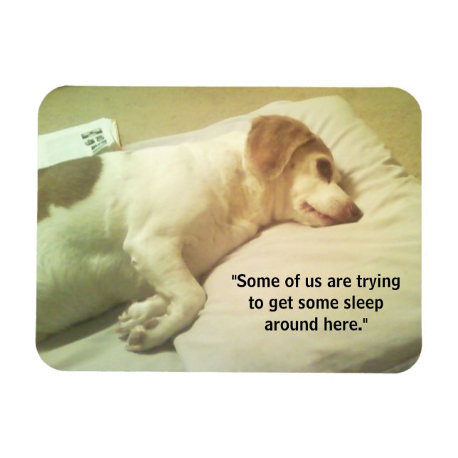 Beagle Foto "Versuchen Sie, etwas Schlaf zu bekomm Magnet (Horizontal)