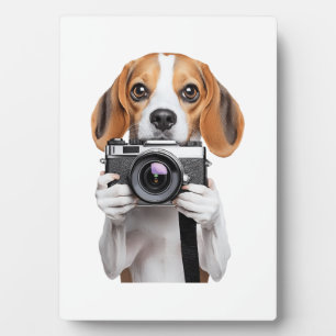 Beagle Fotoplatte