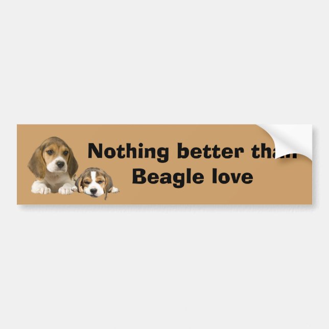Beagle-Freund-Autoaufkleber Autoaufkleber (Vorne)
