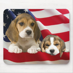 Beagle-Freunde Mousepad
