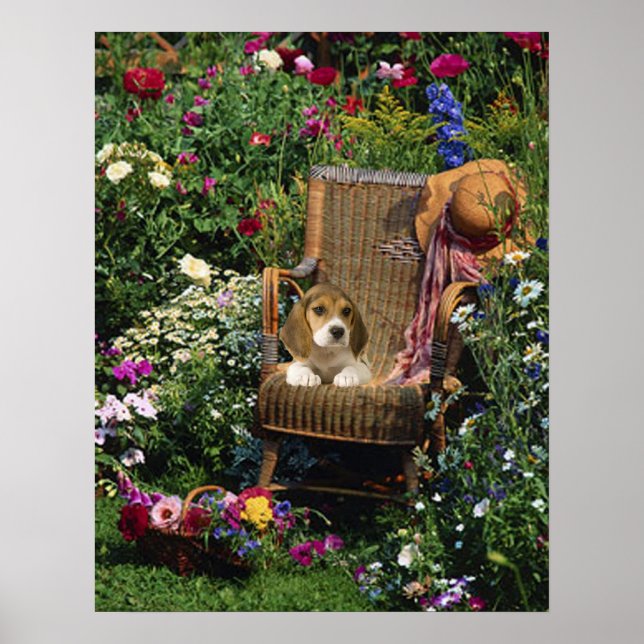Beagle Garden Poster (Vorne)