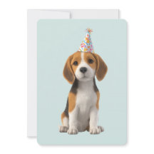 Beagle Geburtstagsfeier