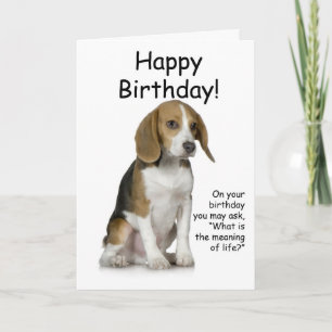 Beagle Geburtstagskarte Karte