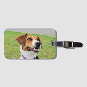 Beagle Gepäckanhänger
