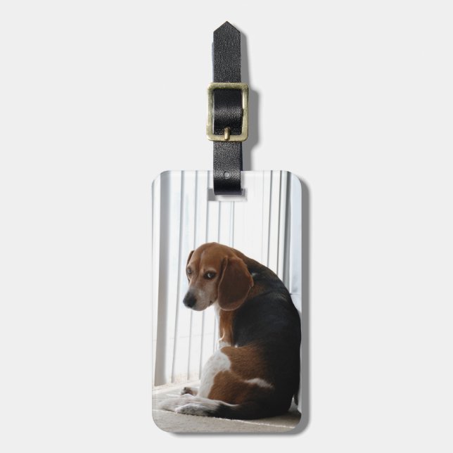 Beagle Gepäckanhänger (Vorderseite vertikal)