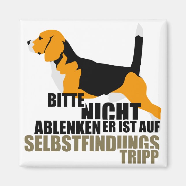 Beagle Geschenke Magnet (Vorne)