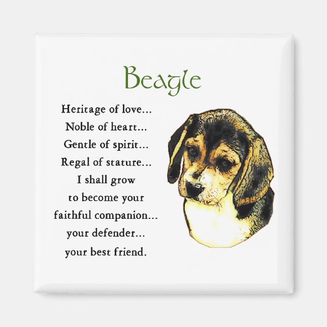 Beagle Geschenke Magnet (Vorne)
