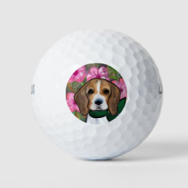 Beagle Golfball