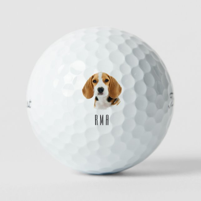 Beagle Golfball (Vorderseite)