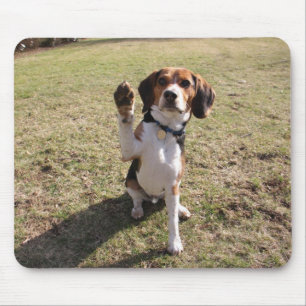 Beagle-hohe fünf Mausunterlage Mousepad