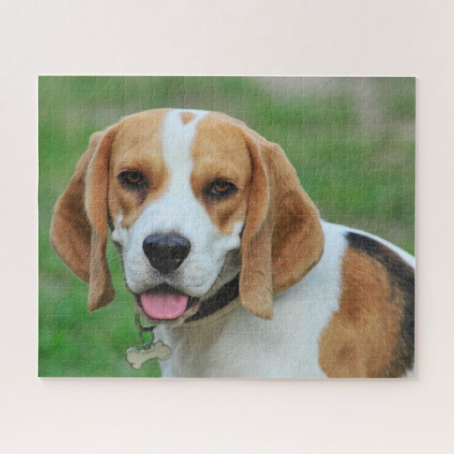Beagle Hound Dog (Horizontal)