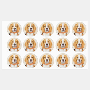 Beagle Hound Dog Malerei Original Tierart Etiketten
