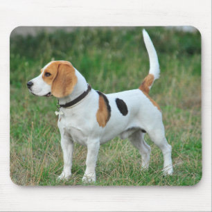 Beagle Hound Dog Mousepad