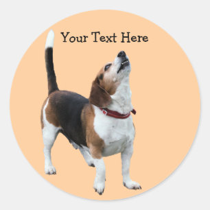 Beagle-Howling-Niedliche Hundekleber Runder Aufkleber