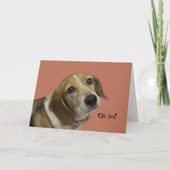 Beagle Hund Geburtstagskarte Karte (Vorderseite)