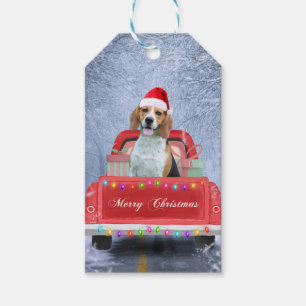 Beagle Hund im Schnee sitzen im Weihnachtswagen Geschenkanhänger