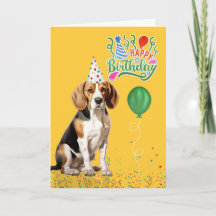 Beagle Hund in Party Hut auf gelben Geburtstag