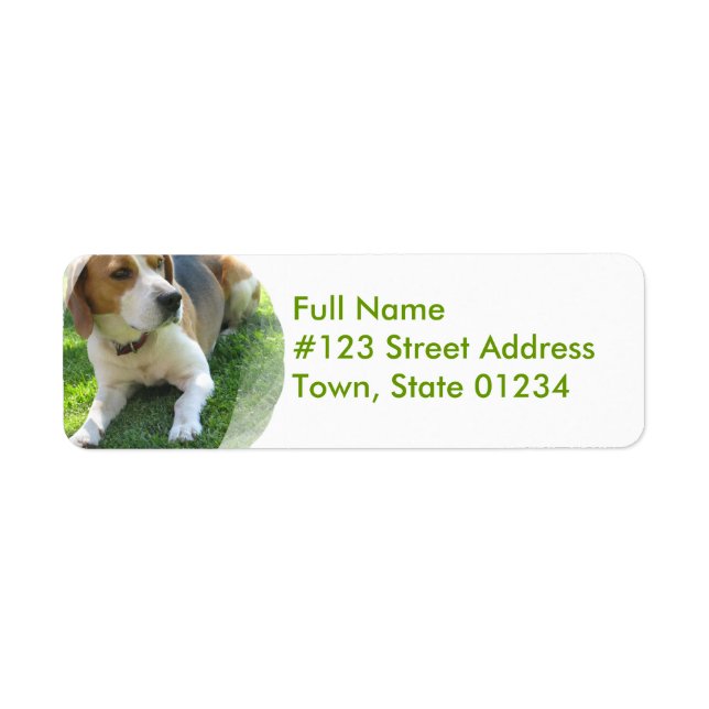 Beagle-Hund-Rückgabeadresse-Etikett (Vorne)