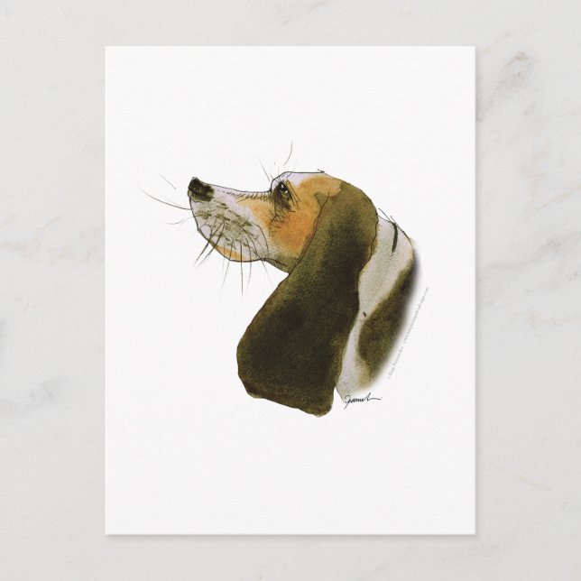 Beagle Hund, tony fernandes Postkarte (Vorderseite)